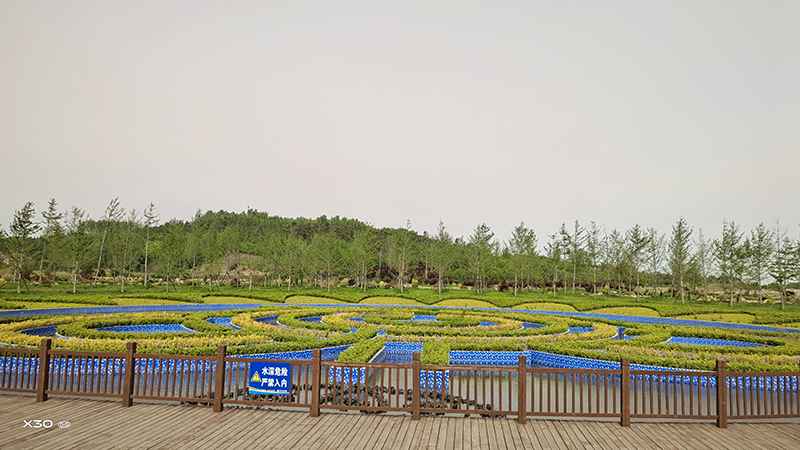 日照西湖國家濕地公園三莊河濕地景觀綠化工程